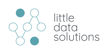 Little Data Solutions LLC Little Data Solutions LLC