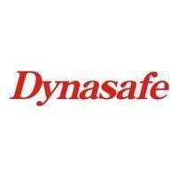 Dynasafe Technologies Inc Dynasafe Technologies Inc