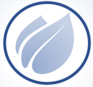 Imagen del Avatar del Producto