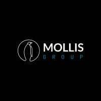 Mollis Group Limited Mollis Group Limited
