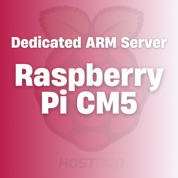 Dedicated server based on Raspberry Pi CM5 Dedicated server based on Raspberry Pi CM5