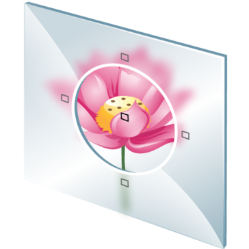 Imagen del Avatar del Producto