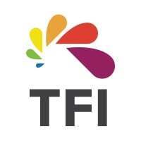 TFI Digital Media Limited TFI Digital Media Limited