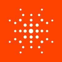 Imagen del Avatar del Producto