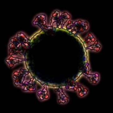 Product Avatar Image