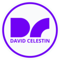 DAVIDCELESTIN.COM