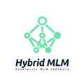 hybrid mlm