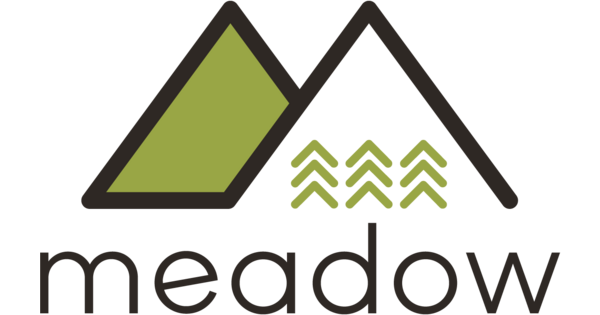 Meadow IoT Platform Pricing 2026