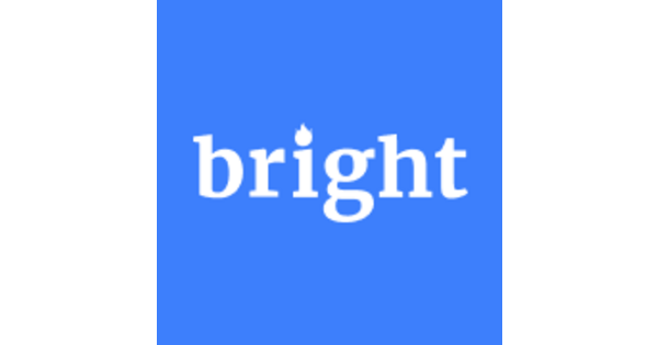 Bright Data Logo