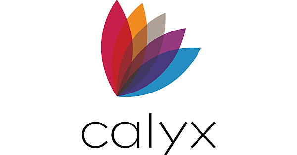 How To Backup Calyx Point Files