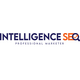 Intelligence seo