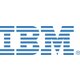 IBM Maximo IT