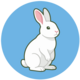 MarPy.io