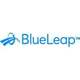 BlueLeap Consulting Logo