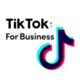 TikTok Ads