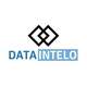 Dataintelo Logo