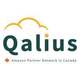 Qalius Consulting Inc.