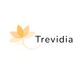 Trevidia invoice generator