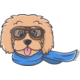 Breeder Buddy | Dog Breeding Software