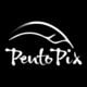 PentoPix Logo
