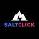 Saltclick Optimize Salesforce!
