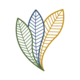 Webfolio
