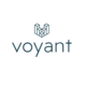Voyant Financial Planning Software
