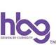 HBG Knowledge (High Beam Global)