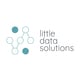 Little Data Solutions LLC Logo