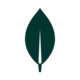 MongoDB Compass