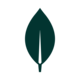 MongoDB