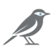 Vireo Sentinel