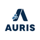Auris Payroll