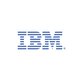 IBM watsonx BI