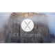 Apple OS X Yosemite