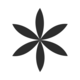 Arvexi