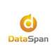 DataSpan Logo