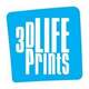 3D LifePrints Design & Segmentation