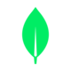 MongoDB Atlas