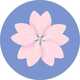bloom