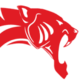 TIGERLOGIC SOLUTIONS LIMITED