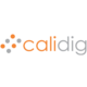 Calidig IT Solutions LLP