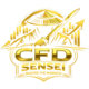 CFDSensei