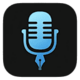 VoiceInk Logo