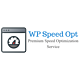 WP Speed Opt