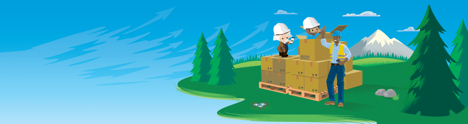 Salesforce Commerce for B2B