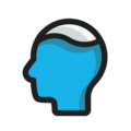 Pool Brain