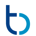 TodoBravo Diseño Web