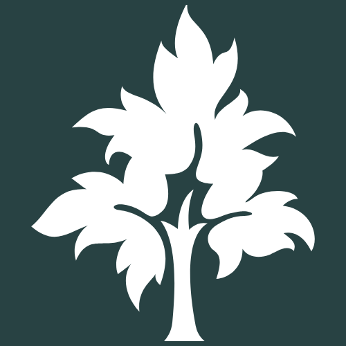 Imagen del Avatar del Producto