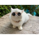 Product Avatar Image